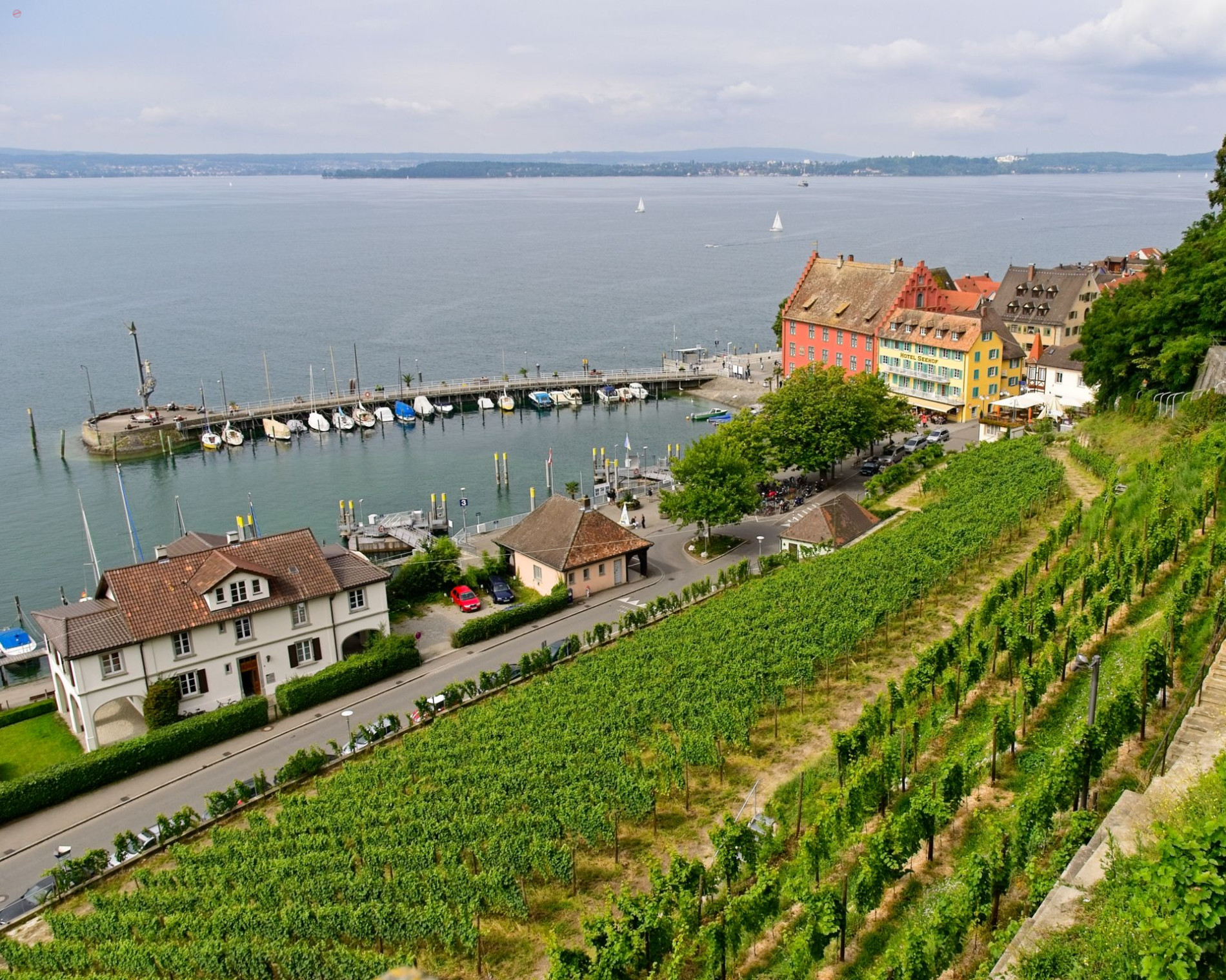 Meersburg, Hafen, Bodensee, Reben