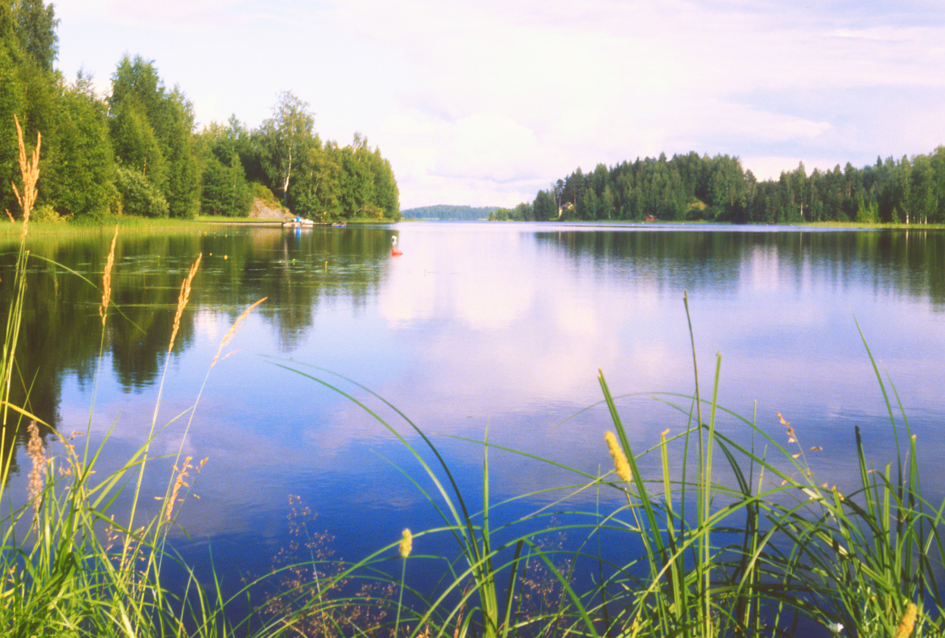 Finnland, See, Wald, Landschaft