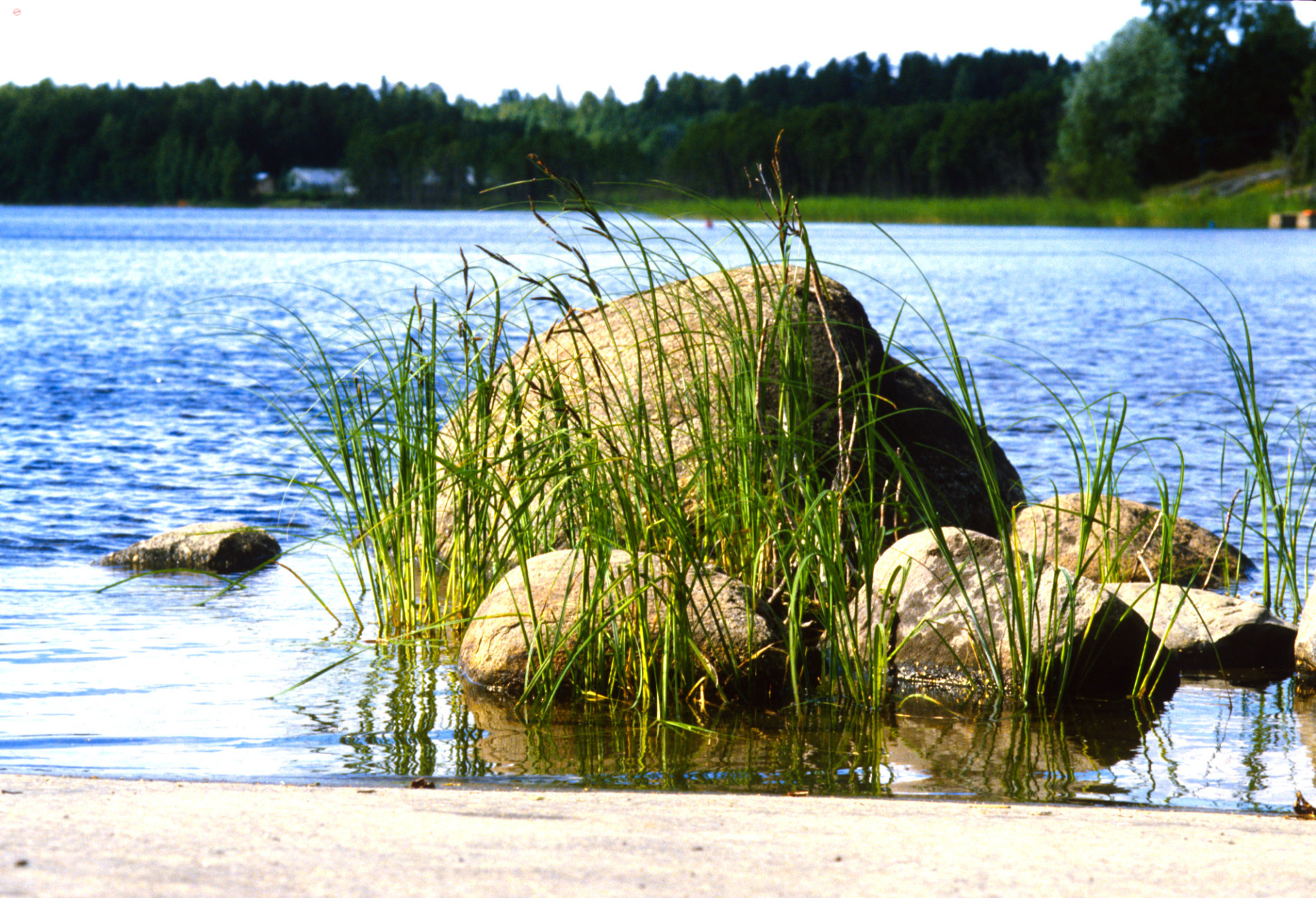 Finnland, Landschaft, See, Schilf, Felsen