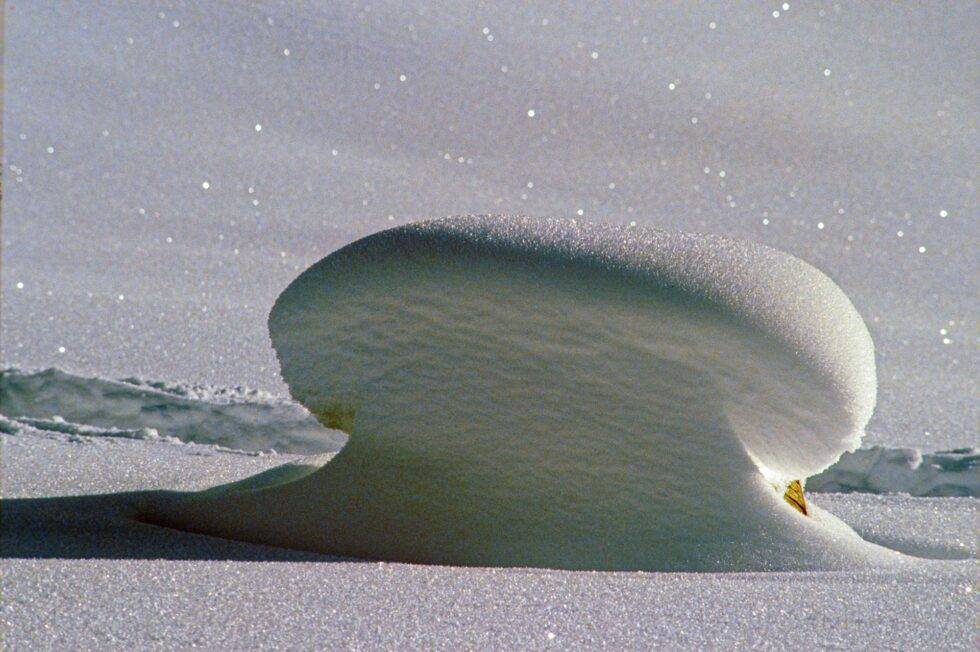 Ibergeregg Winter Schnee