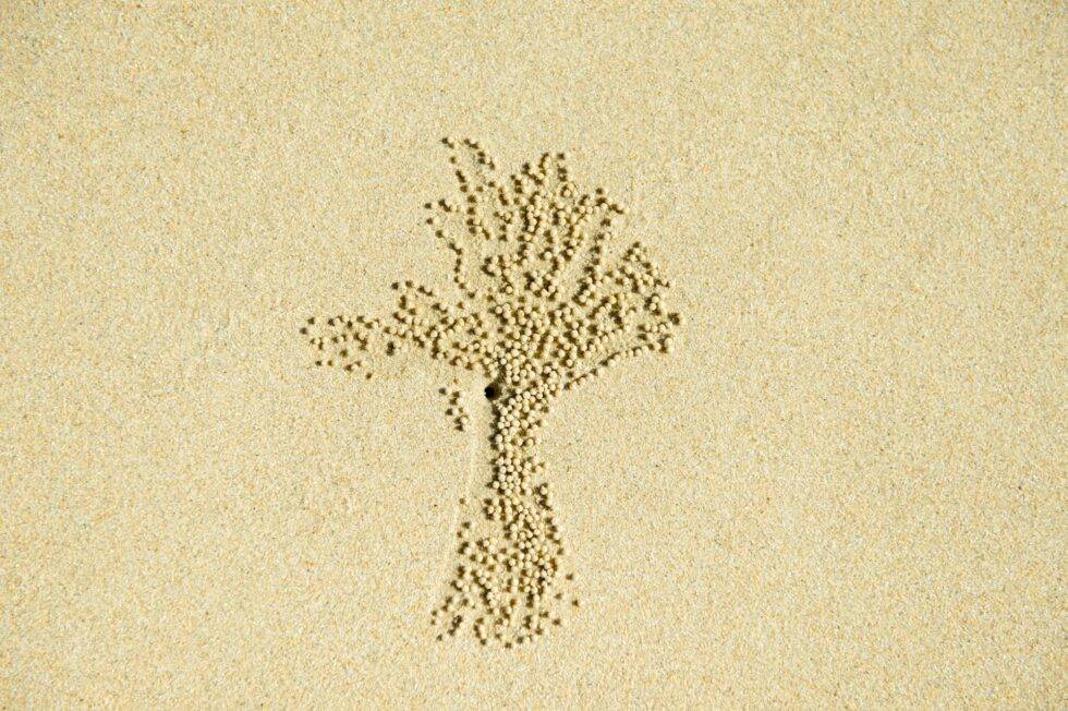 Thailand Koh Nok Strand Krebs-Figuren