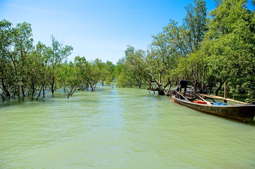 Thailand Koh Yao Noi Mangroven