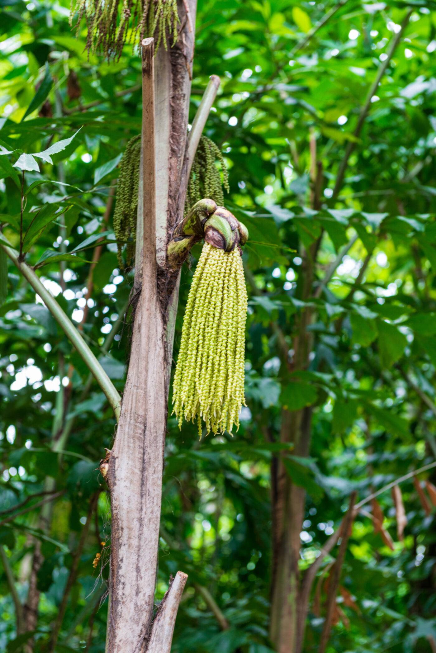Singapur East-Coast-Park