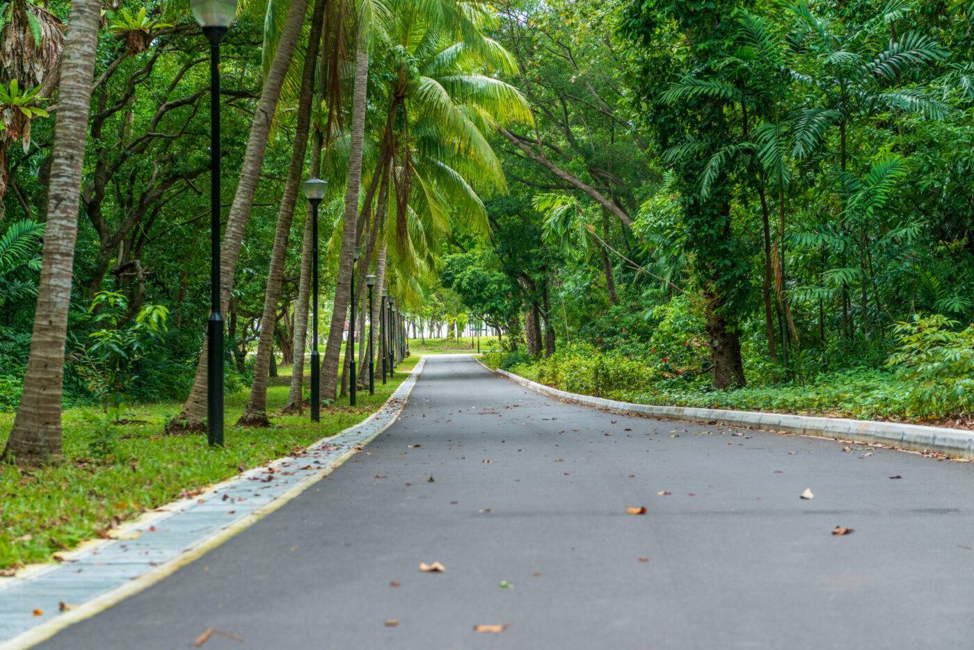 East-Coast-Park Cicada-Woods Strasse