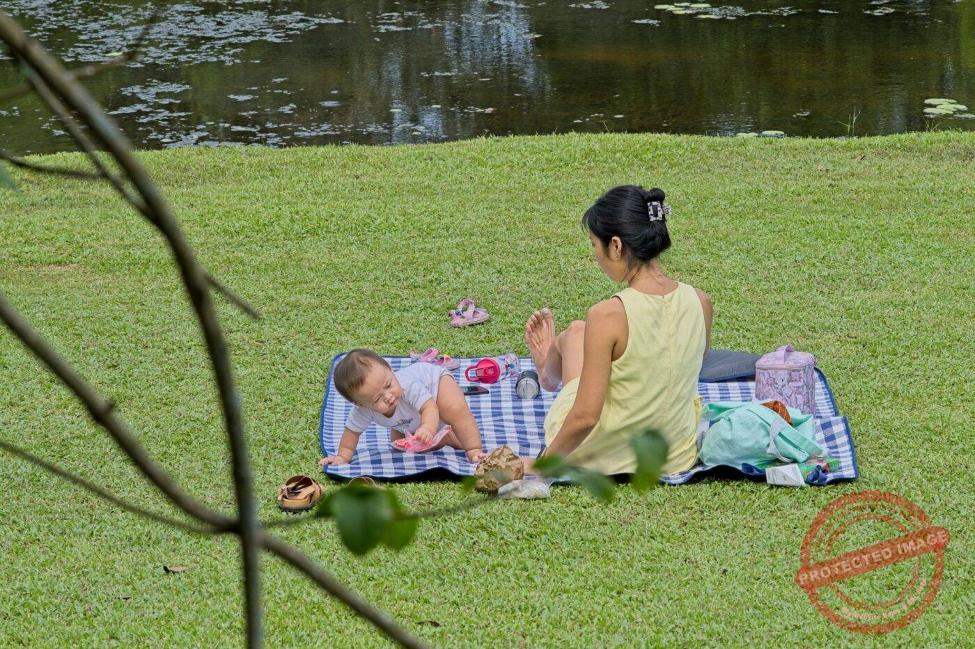 Singapur Garten Botanischer Familie