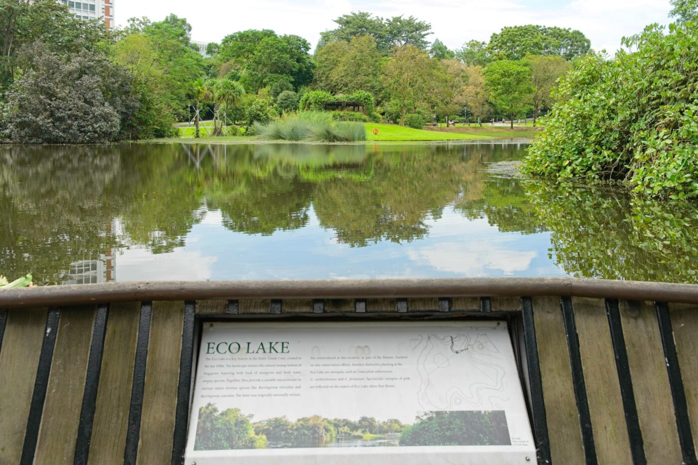 Singapur Botanischer Garten Steg Teich
