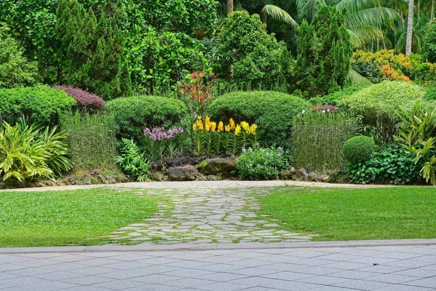 Singapur Nationaler Orchideen Garten Pflanzen VIP-Orchideen