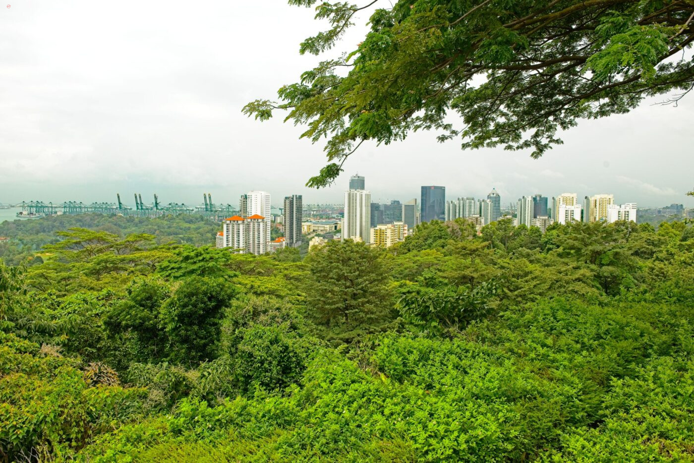 Singapur Mount-Faber-Park Aussicht