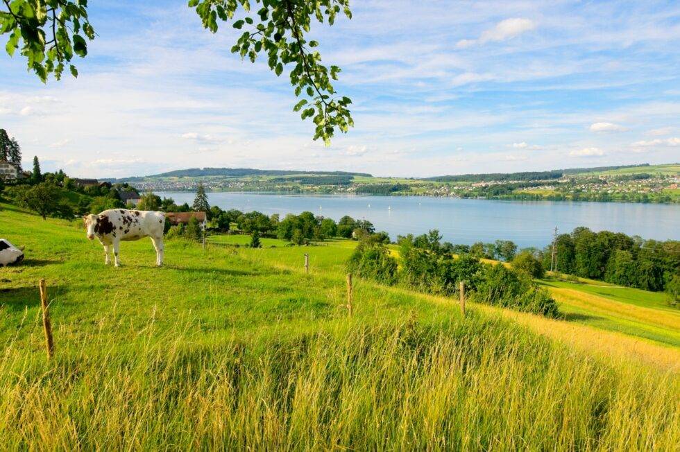 See Seetal Hallwilersee