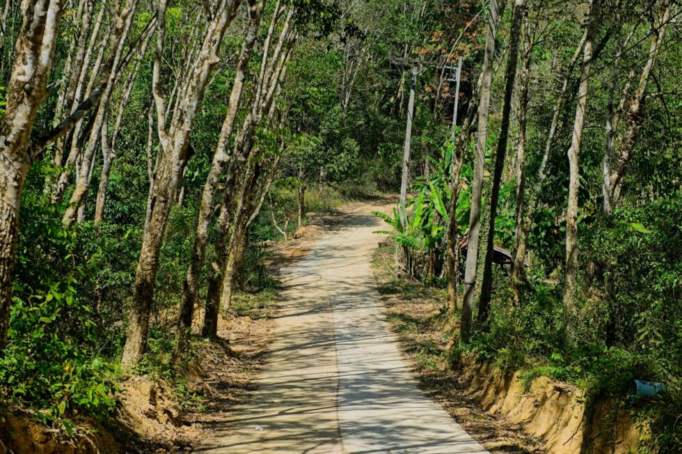 Thailand Ko Yao Noi Insel Tour Dschungel Strasse