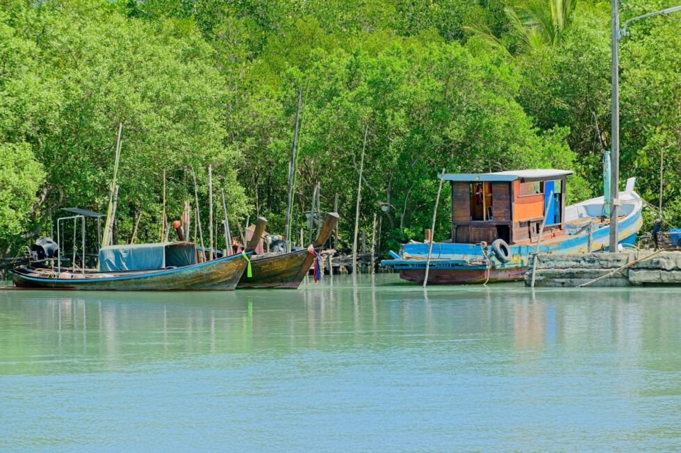 Thailand Ko Yao Noi Insel Tour Sikha Pier Mangroven