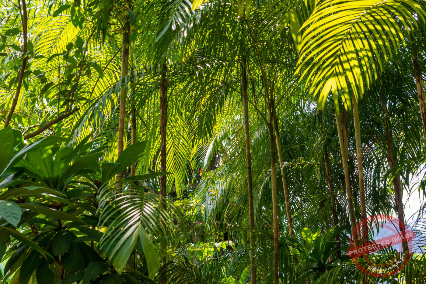 Thailand Phang Nga Bay Krabi Dschungelrestaurant