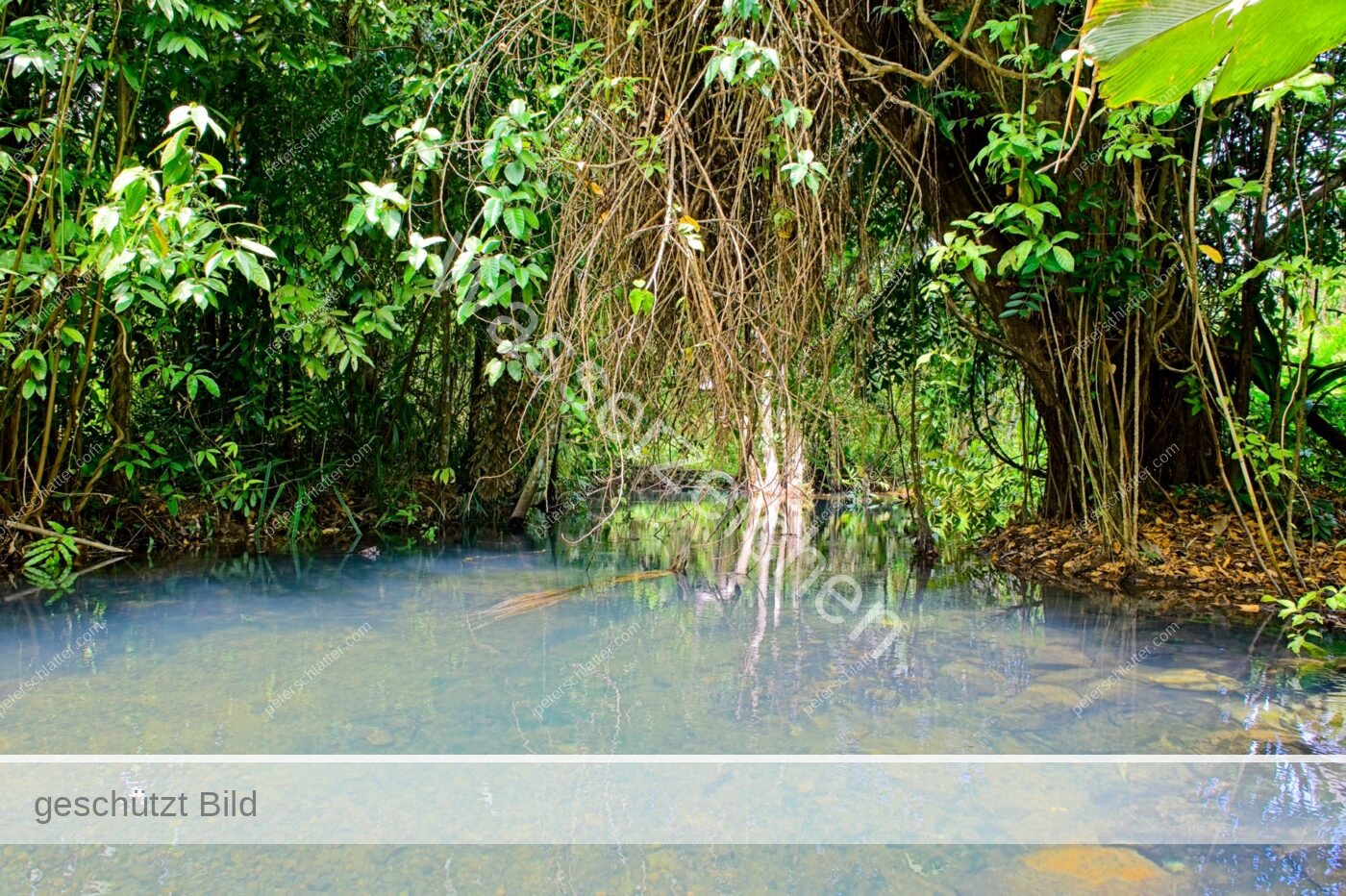 Thailand Phang Nga Bay Krabi Dschungelrestaurant Teich