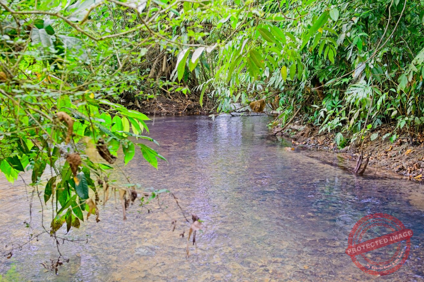Thailand Phang Nga Bay Krabi Dschungelrestaurant Bach