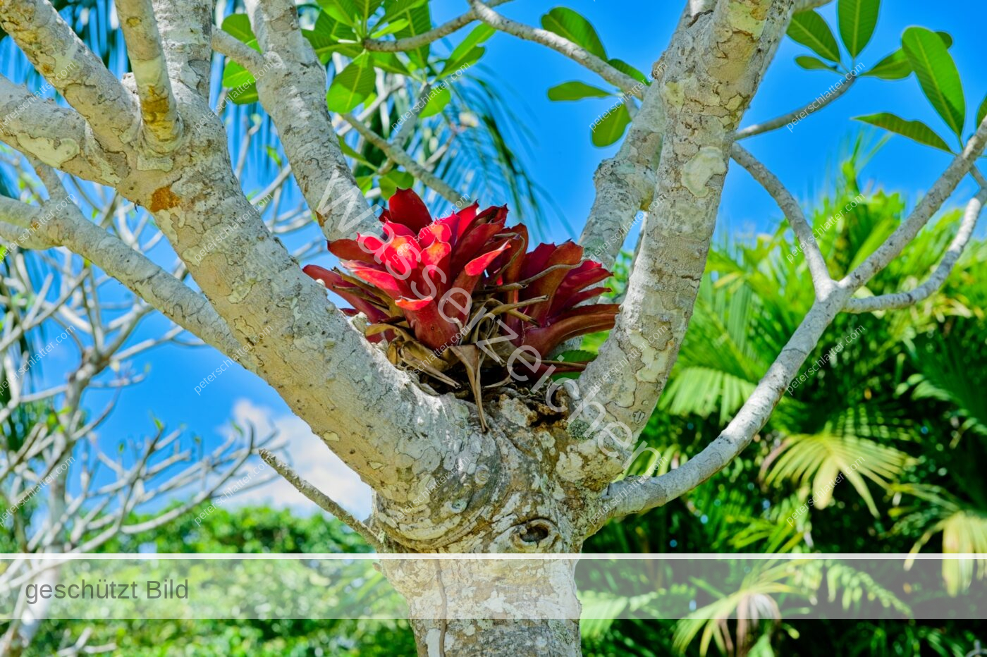 Thailand Phang Nga Bay Krabi Dschungelrestaurant