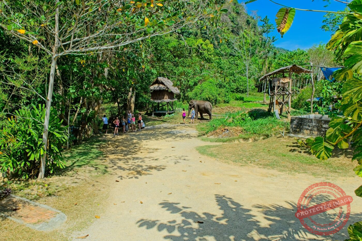 Thailand Phang Nga Bay Krabi Elefantencamp