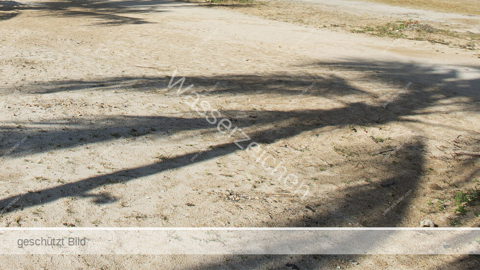 Thailand Ko Yao Noi Hotel Paradise Schatten Palme