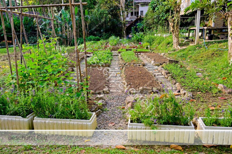Thailand Ko Yao Noi Hotel Paradise Gemüsegarten