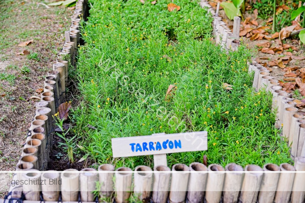 Thailand Ko Yao Noi Hotel Paradise Gemüsegarten