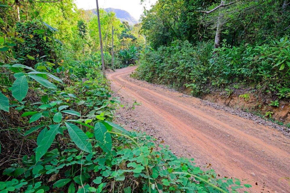 Thailand Ko Yao Noi Insel Tour Dschungel Strasse