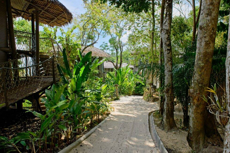 Thailand Ko Yao Noi Hotel TreeHouse Villas