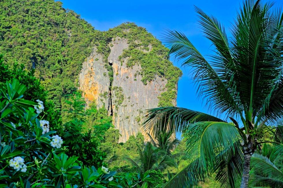 Thailand Ko Yao Noi Hotel Paradise Felsen