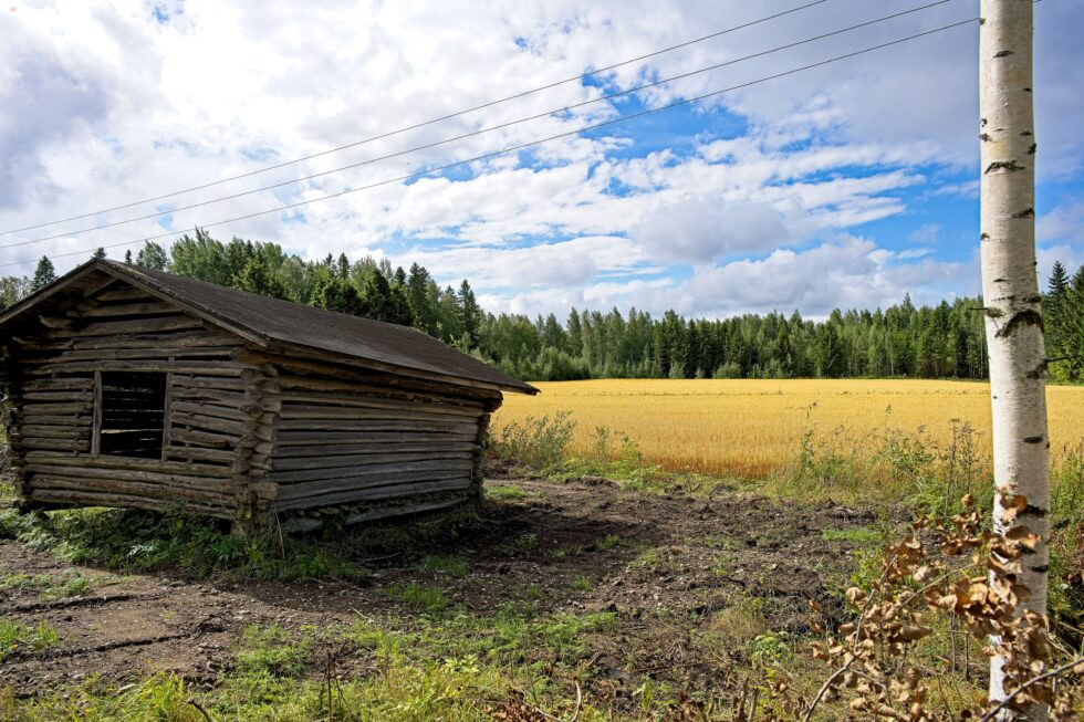 Finnland Ahlainen Landschaft Landwirtschaft Feld Wald