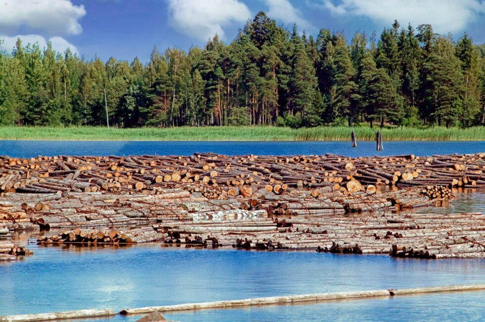 Finnland Holzflösserei Wasser Wald