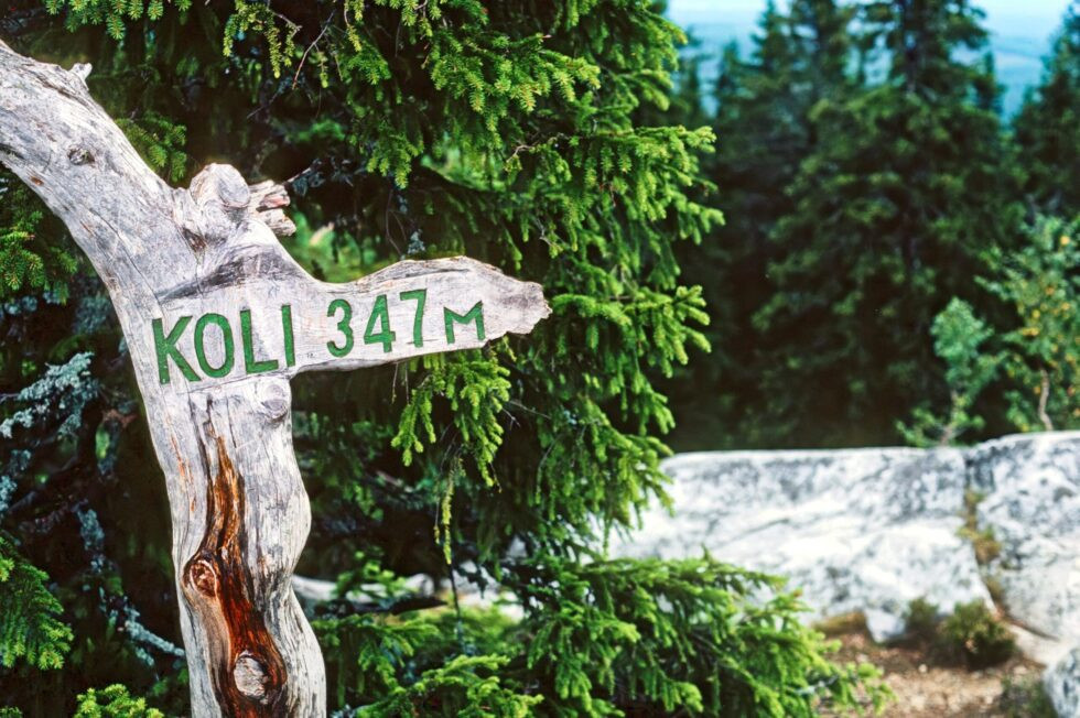 Finnland Koli Landschaft Wegweiser