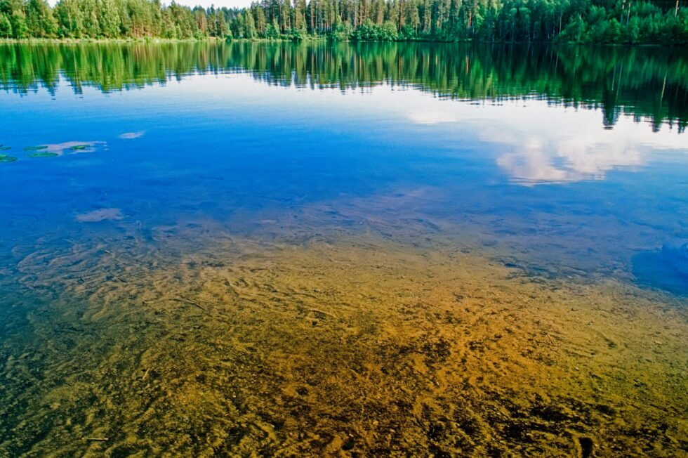 Finnland Kultakivi See Wald