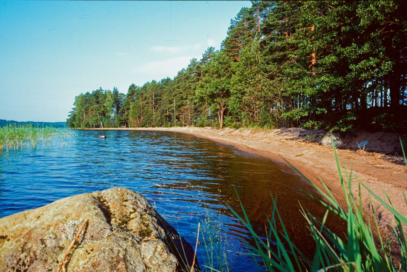 Finnland Landschaft Seen Wald