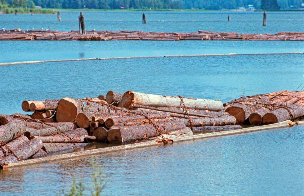 Finnland Holzflösserei Holz