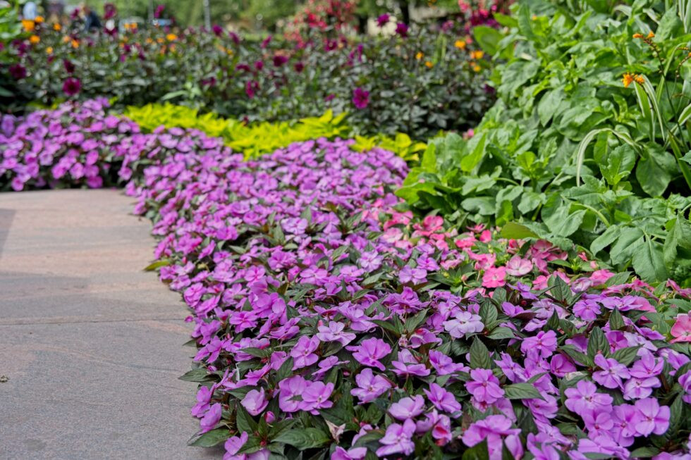 Finnland Helsinki Esplanade-Park Denkmal Blumen