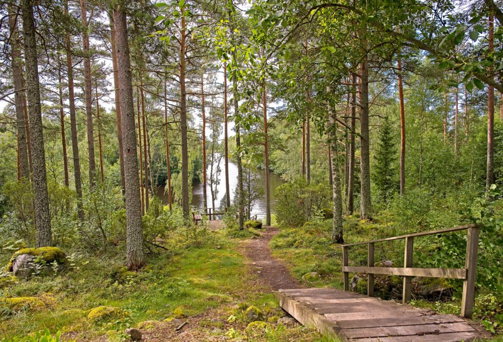 Finnland Näköalapaikka Landschaft Wald